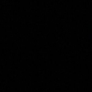 Meet your Posher, Lizbeth